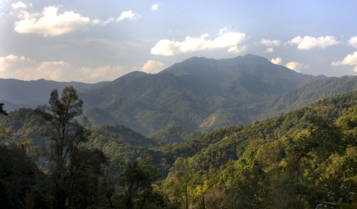 Vườn quốc gia Nam Et-Phou Louey là một trong những khu bảo tồn lớn nhất của Lào. Nguồn: NEPL NPA/WCS