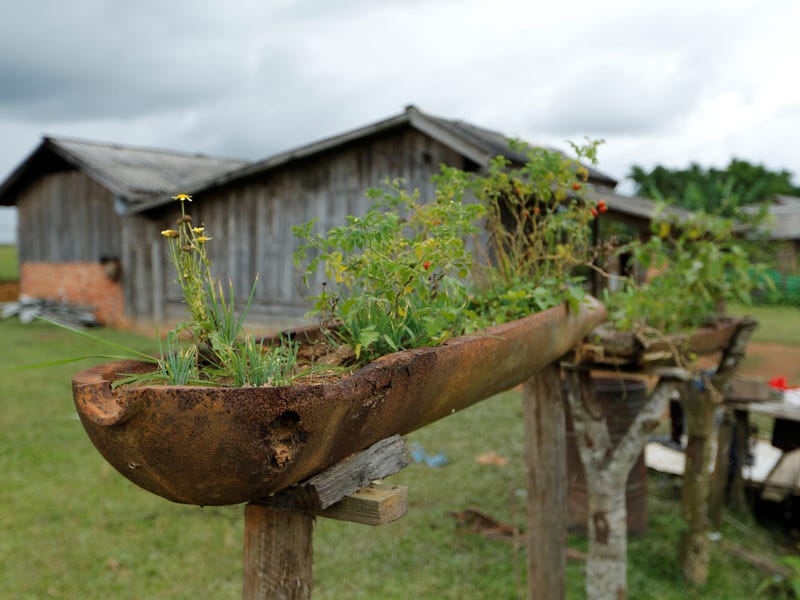 Một quả bom do máy bay không quân Mỹ thả xuống trong chiến tranh Việt Nam được sử dụng để trồng cây ở làng Ban Napia, tỉnh Xiêng Khoảng, Lào