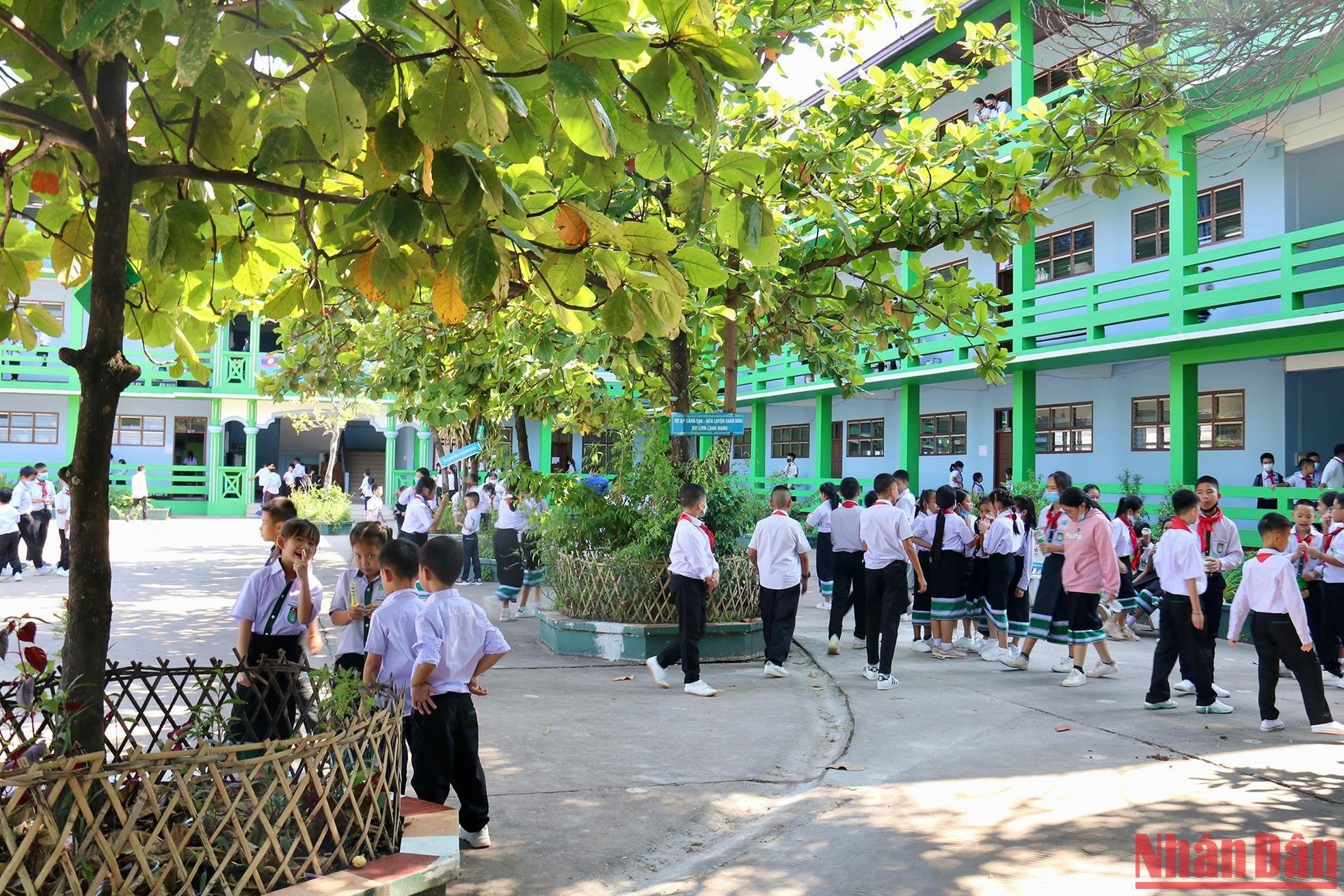 Học tiếng Việt trong ngôi trường song ngữ Nguyễn Du ở Vientiane ảnh 2