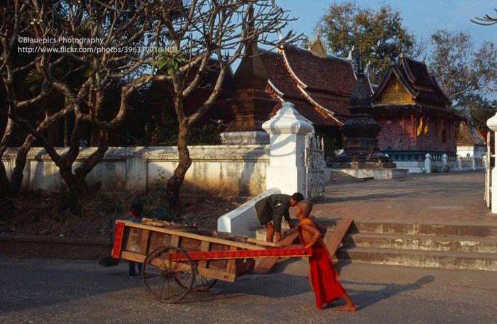 Nhà sư nhỏ tuổi đẩy xe bên ngoài chùa Wat Xieng Thong.