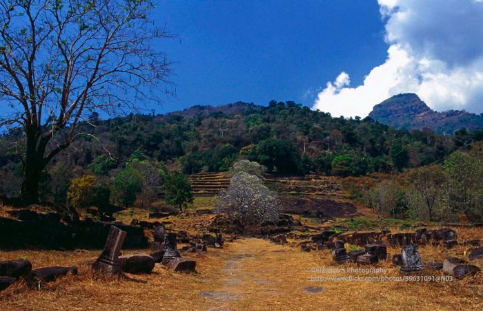 Một góc phế tích Wat Phou.