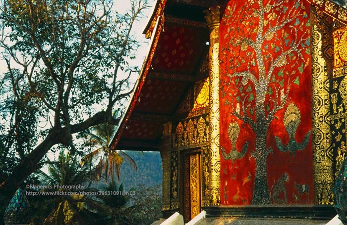Nét cổ kính và tráng lệ của chùa Wat Xieng Thong.