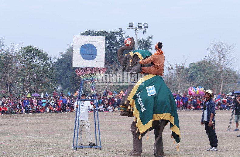 Lễ hội voi Lào năm 2023 thu hút hàng chục nghìn du khách ảnh 2