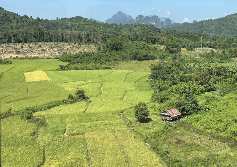 Một cánh đồng lúa tại phía bắc Lào. (Ảnh: TRỊNH DŨNG)